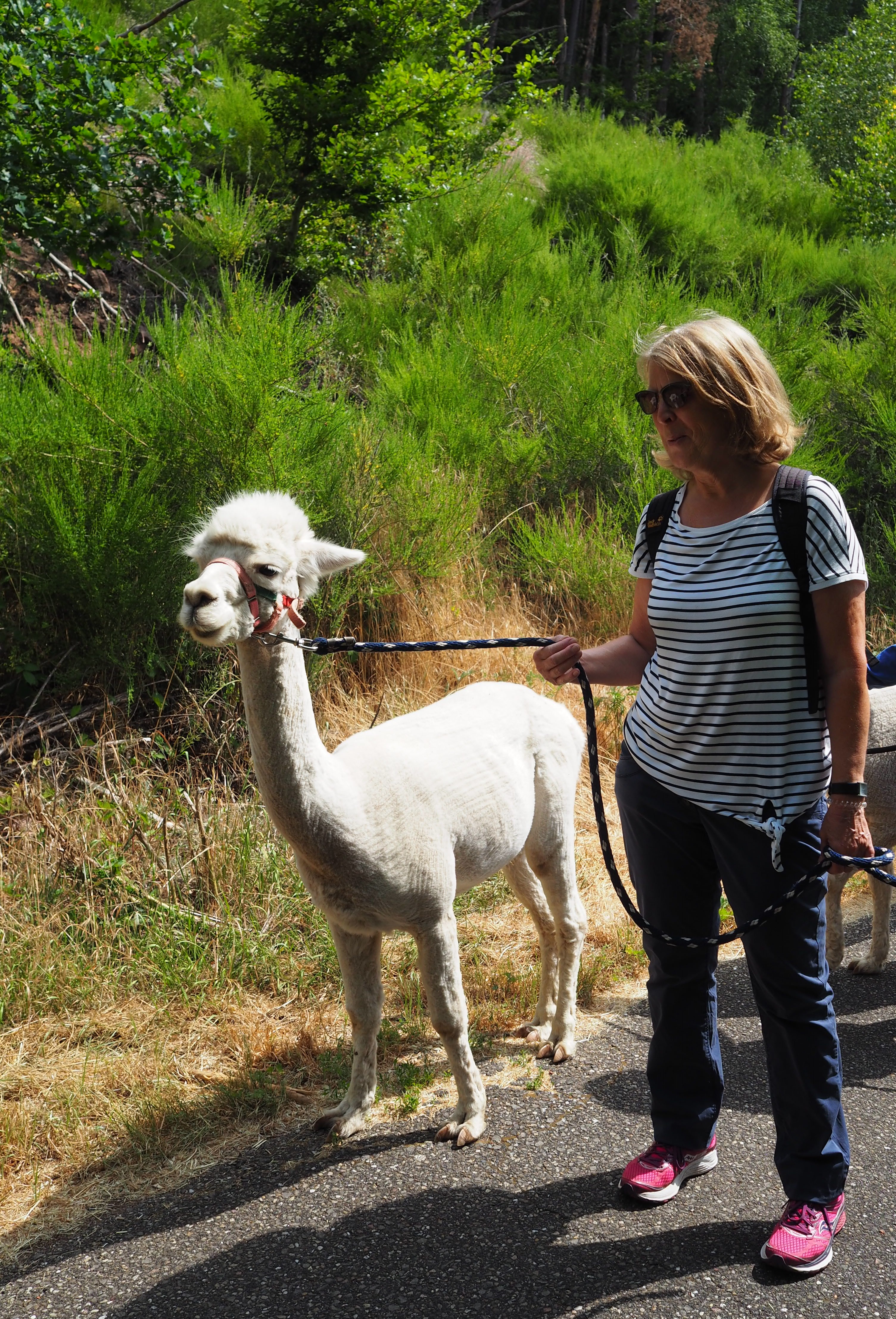 P6190641 - Kopie.JPG